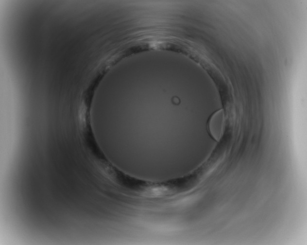 X0000099950650200805231322