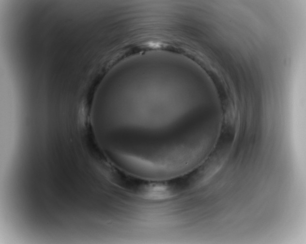 X0000099950651200805231322