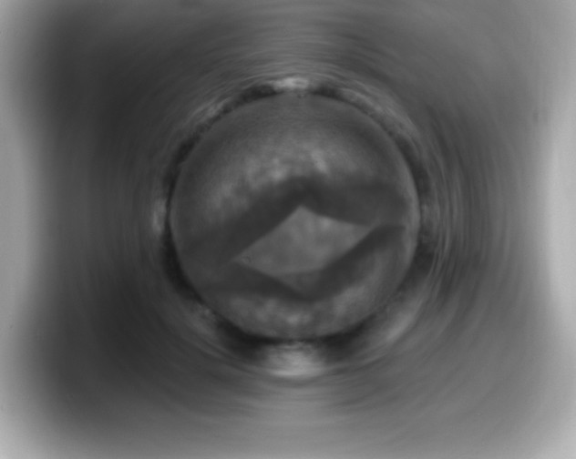 X0000099950652200805231322