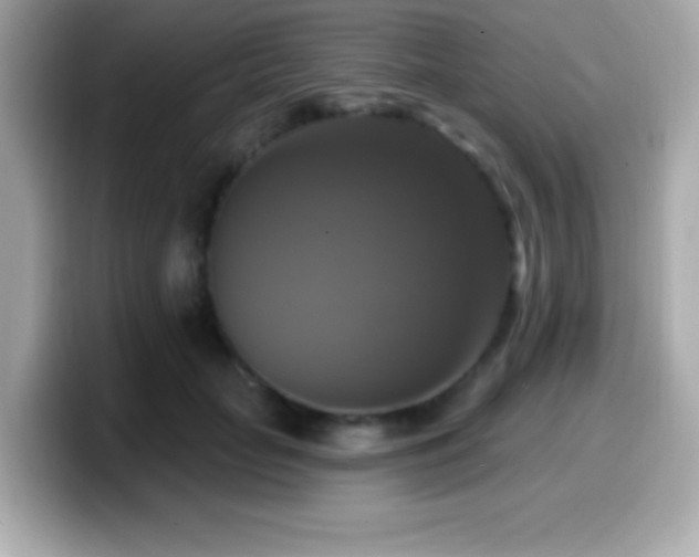 X0000099950653200805231322
