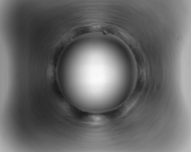 X0000099950654200805231322
