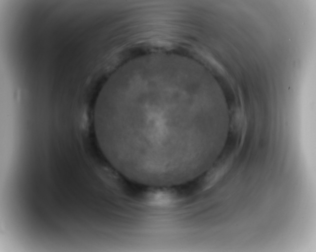 X0000099950655200805231322