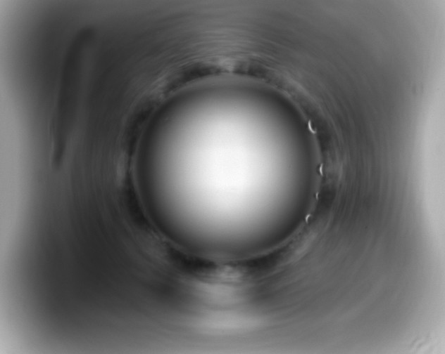 X0000099950656200805231322