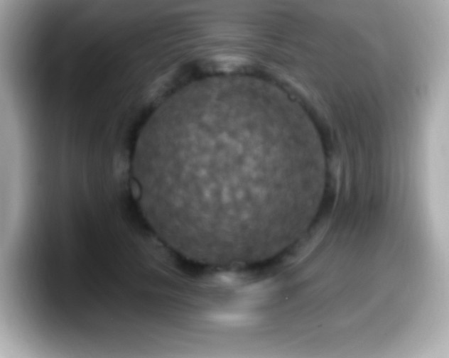 X0000099950657200805231322