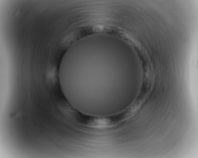 X0000099950659200805231322