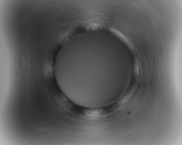 X0000099950661200805231322