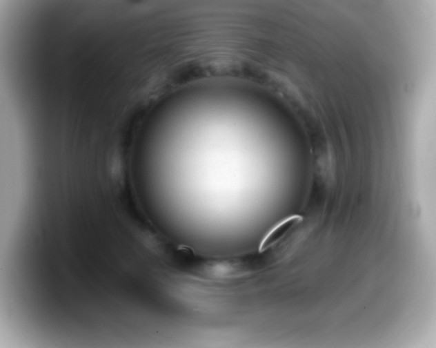 X0000099950662200805231323