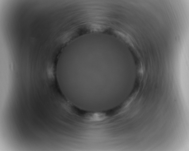 X0000099950663200805231323