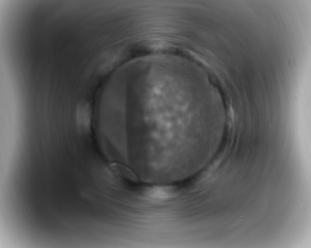X0000099950664200805231323