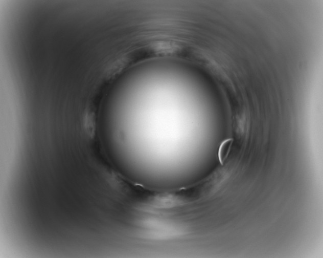 X0000099950666200805231323