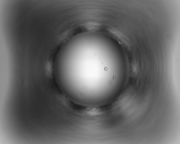 X0000099950667200805231323