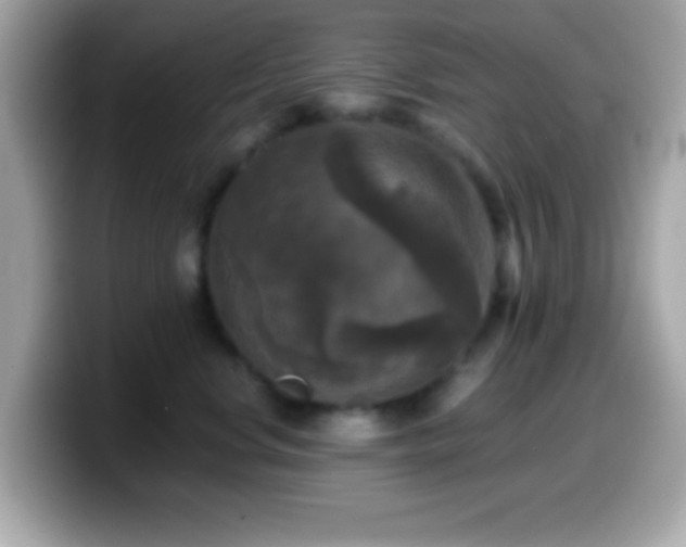 X0000099950668200805231323