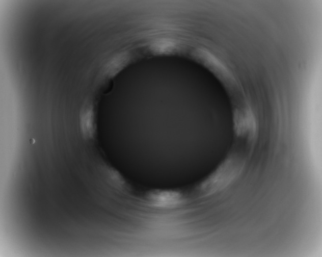 X0000099950670200805231323