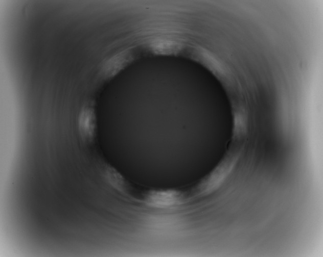 X0000099950671200805231323