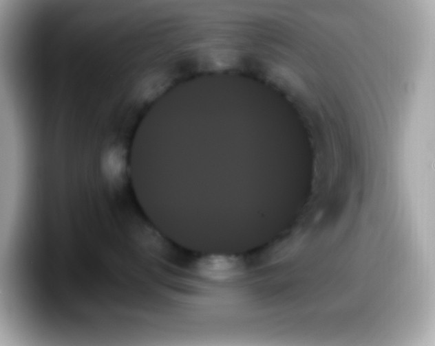 X0000099950672200805231323