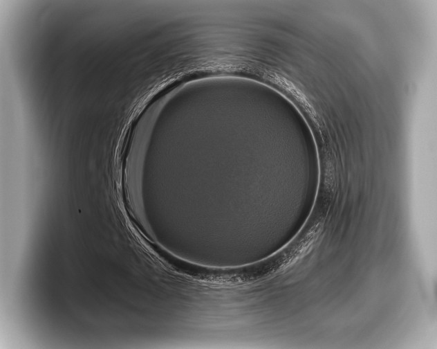 X0000099950673200805231322