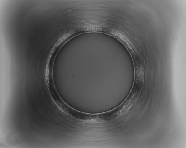 X0000099950674200805231322