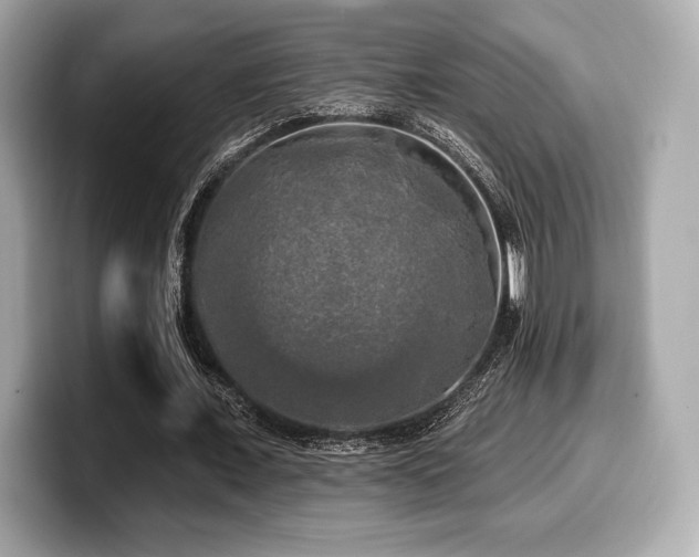 X0000099950675200805231322