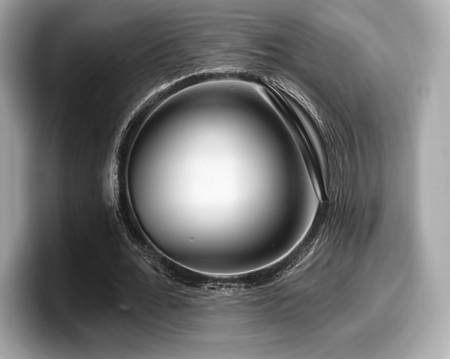 X0000099950676200805231322