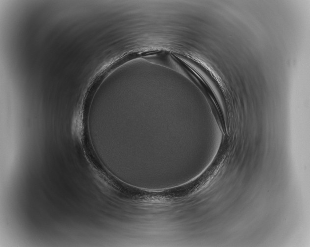 X0000099950677200805231322