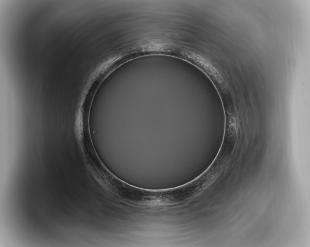 X0000099950678200805231322