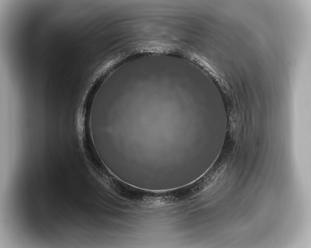 X0000099950679200805231322