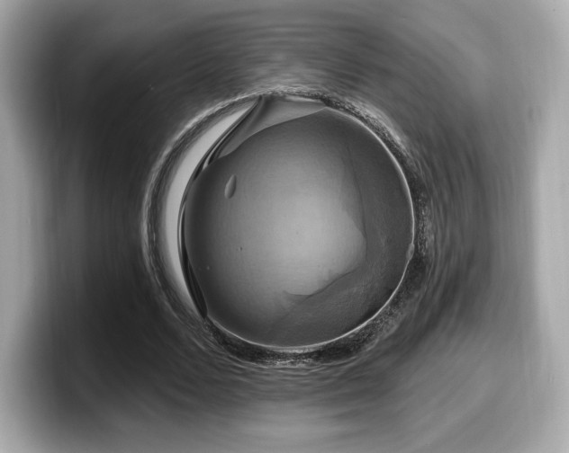 X0000099950680200805231322
