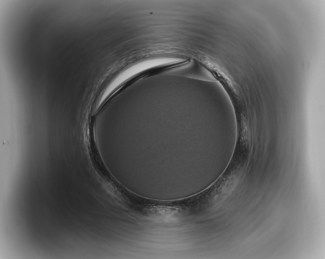 X0000099950681200805231322