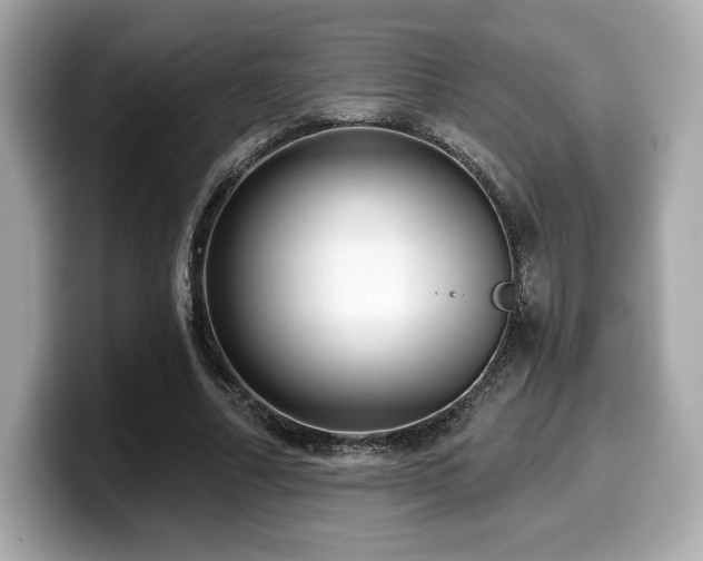 X0000099950682200805231322