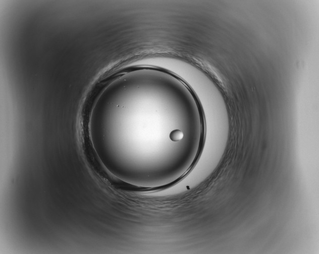 X0000099950684200805231322