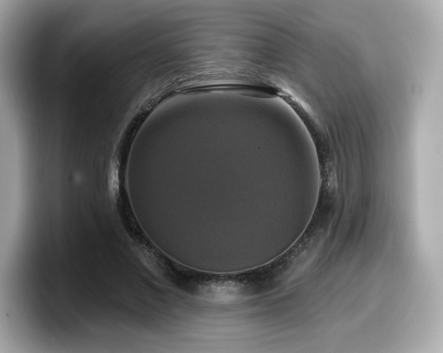 X0000099950685200805231322