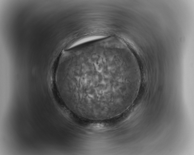 X0000099950687200805231322