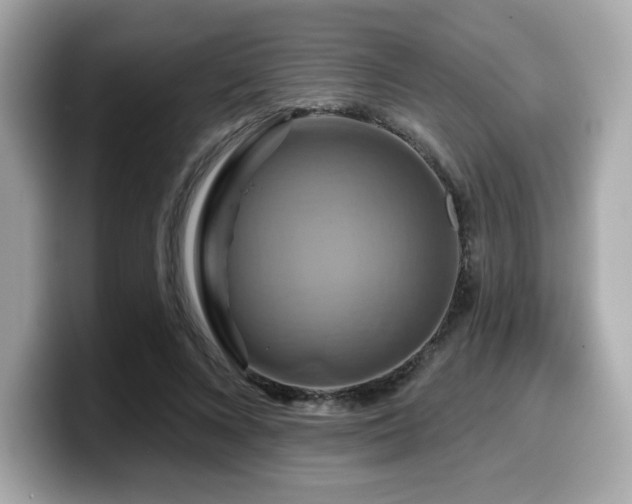X0000099950688200805231322