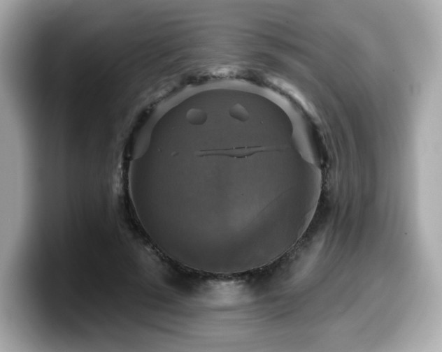 X0000099950689200805231322
