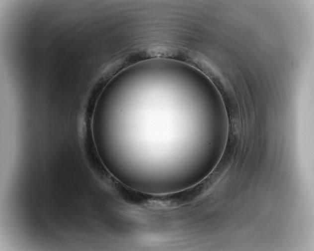 X0000099950690200805231322