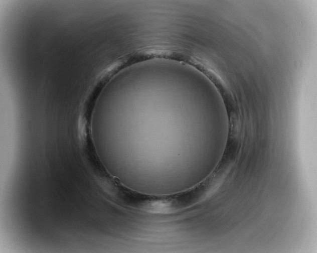 X0000099950692200805231322