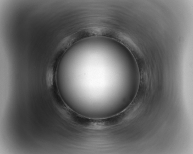 X0000099950694200805231322