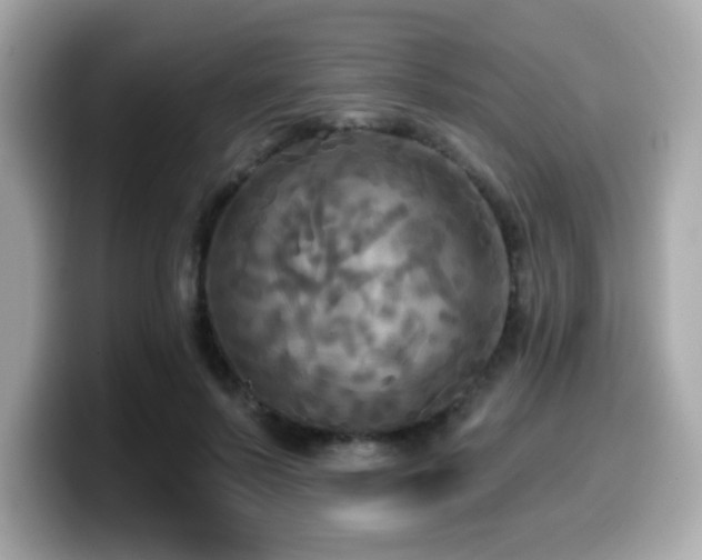 X0000099950695200805231322