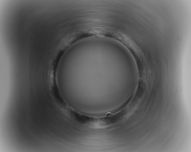 X0000099950696200805231322