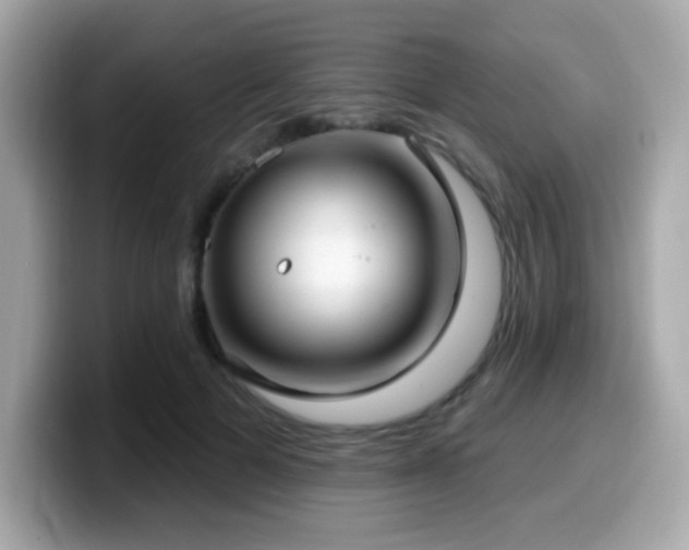 X0000099950697200805231322