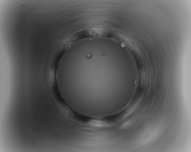 X0000099950699200805231322