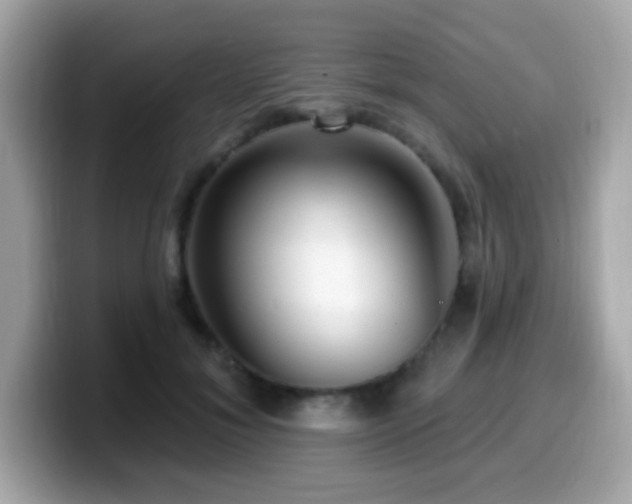 X0000099950700200805231322