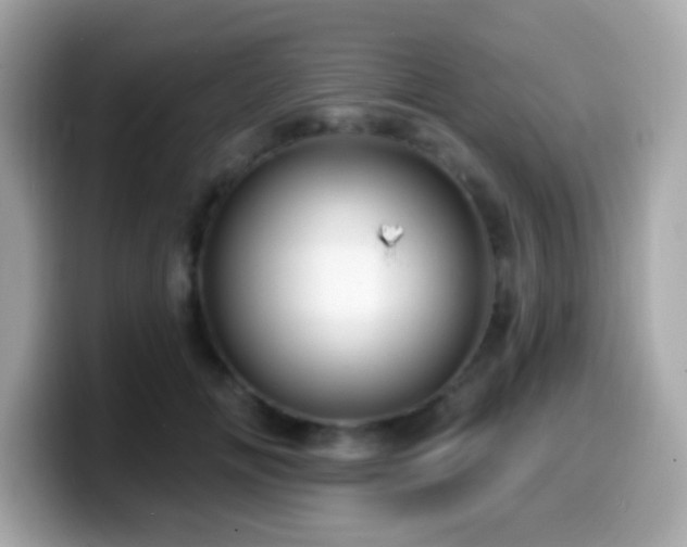 X0000099950702200805231322