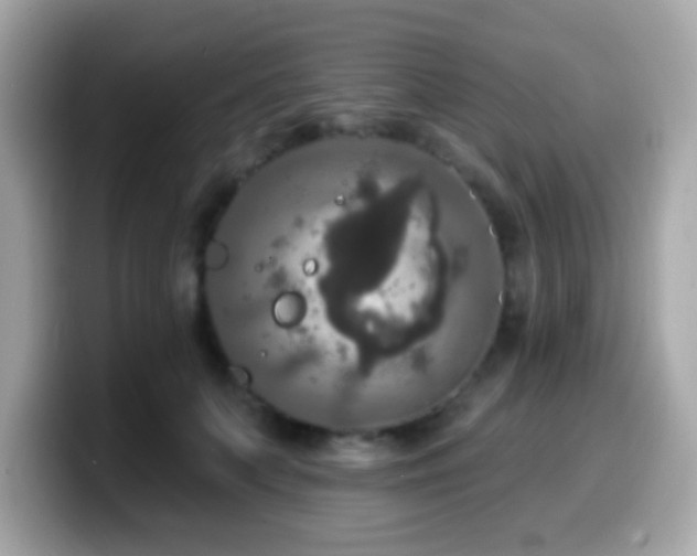 X0000099950703200805231322