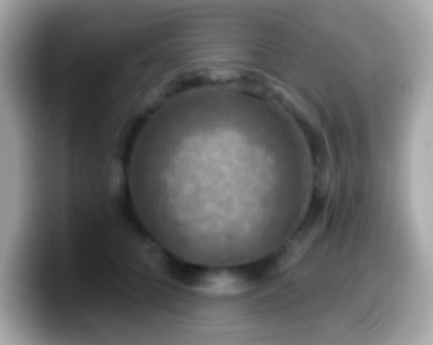 X0000099950704200805231322