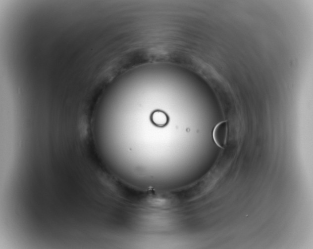 X0000099950706200805231322