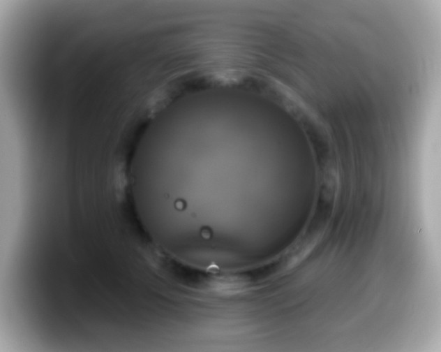 X0000099950707200805231322