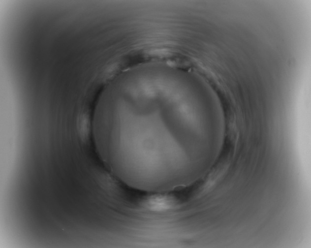 X0000099950708200805231322