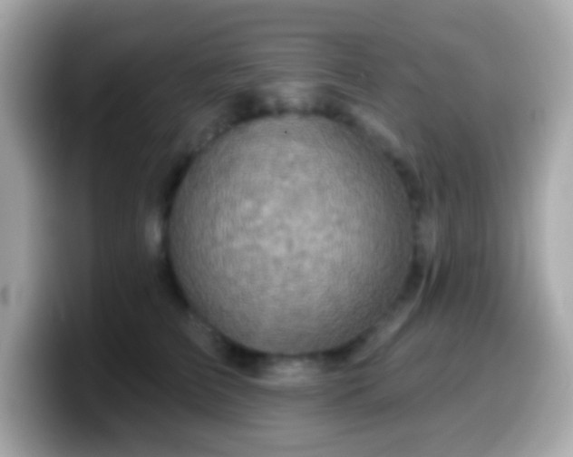 X0000099950709200805231322