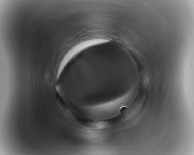 X0000099950711200805231322